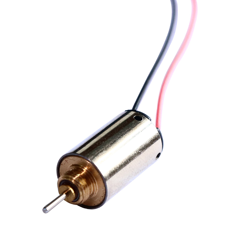 10mm Precious Metal Brush DC Motor