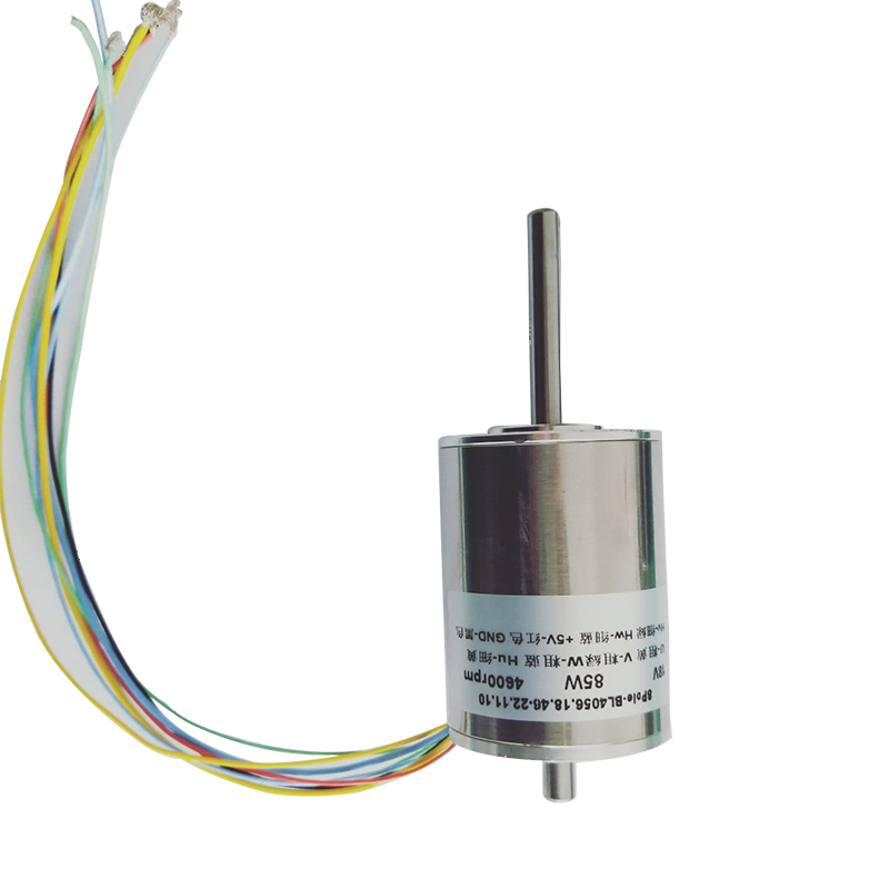 40mm Brushless DC Motor na May Hall Sensor